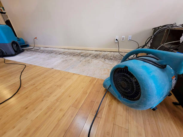 Reliable Water Damage Restoration contractor in Chester, PA by Hirex Water Damage