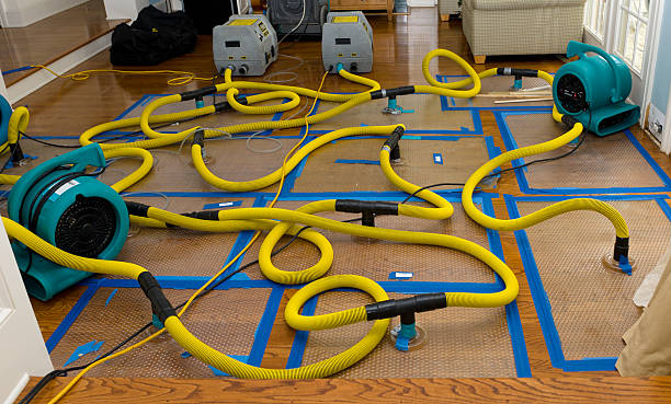 Professional Water Damage Restoration technician working in Chester, PA